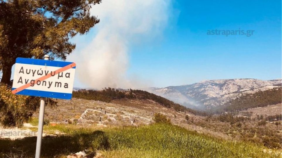 Υπό μερικό έλεγχο η μεγάλη πυρκαγιά στην περιοχή Ανάβατου στη Χίο - Φωτογραφία 1