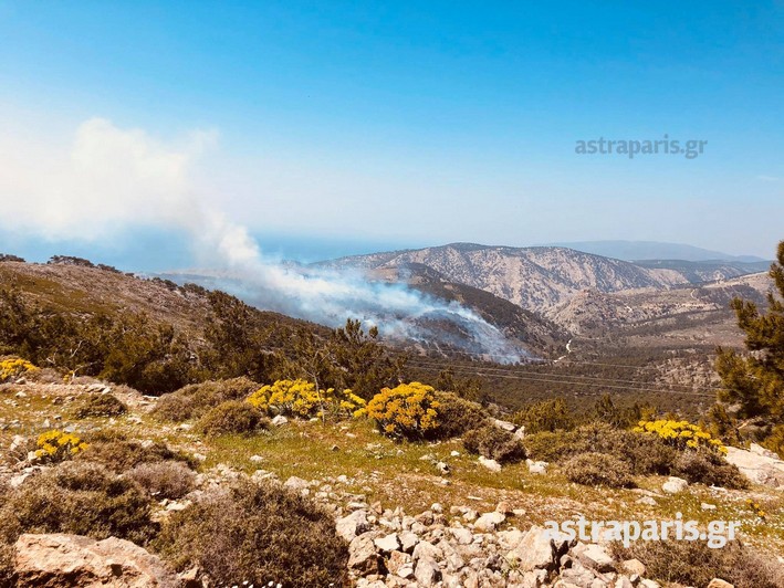 Υπό μερικό έλεγχο η μεγάλη πυρκαγιά στην περιοχή Ανάβατου στη Χίο - Φωτογραφία 3