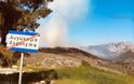 Υπό μερικό έλεγχο η μεγάλη πυρκαγιά στην περιοχή Ανάβατου στη Χίο - Φωτογραφία 1