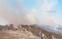 Υπό μερικό έλεγχο η μεγάλη πυρκαγιά στην περιοχή Ανάβατου στη Χίο - Φωτογραφία 2