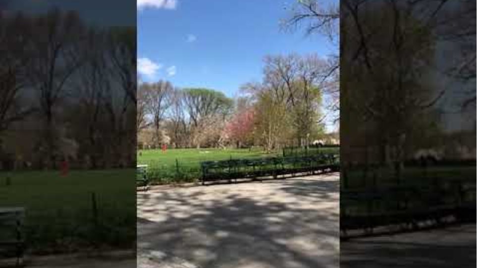 Οι Νεοϋορκέζοι βολτάρουν αμέριμνοι στο Central Park παρά τους 20.000 θανάτους - Φωτογραφία 3