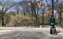 Οι Νεοϋορκέζοι βολτάρουν αμέριμνοι στο Central Park παρά τους 20.000 θανάτους - Φωτογραφία 2