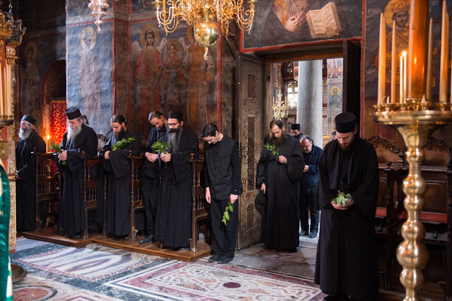 13497 - Ιερά Μονή Χιλιανδαρίου. Κυριακή των Βαΐων, η Θεία Λειτουργία και η Λιτανεία (φωτογραφίες) - Φωτογραφία 12