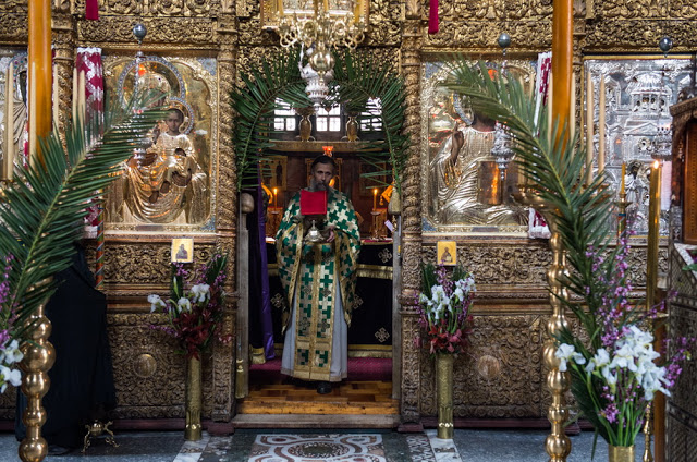 13497 - Ιερά Μονή Χιλιανδαρίου. Κυριακή των Βαΐων, η Θεία Λειτουργία και η Λιτανεία (φωτογραφίες) - Φωτογραφία 26