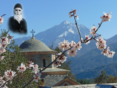 Ο Γέροντας Ευθύμιος της Καψάλας του Αγίου Όρους για τον κορονοϊό και το  κλείσιμο των εκκλησιών - Φωτογραφία 1