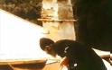 ΘΗΣΑΥΡΟΣ! Δεκάδες φωτογραφίες του αγαπημένου μας Αγίου Γέροντος Παϊσίου του Αγιορέιτου - Φωτογραφία 1