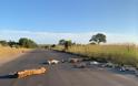 Νότια Αφρική: Λιοντάρια κοιμούνται στον άδειο δρόμο ΦΩΤΟΣ - Φωτογραφία 1