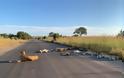 Νότια Αφρική: Λιοντάρια κοιμούνται στον άδειο δρόμο ΦΩΤΟΣ - Φωτογραφία 3