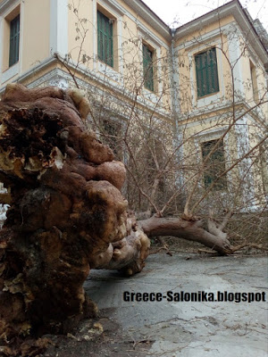 Aπίστευτη τραγωδία αποφεύχθηκε σε σχολείο της Θεσσαλονίκης ...λόγω διακοπών και Κορονοϊού (pics) - Φωτογραφία 2