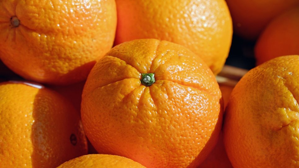 Συμμορία γυναικών πήγε να κλέψει 3,5 τόνους πορτοκάλια! - Φωτογραφία 1