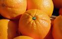 Συμμορία γυναικών πήγε να κλέψει 3,5 τόνους πορτοκάλια!