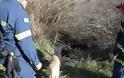 Θρίλερ στη Λάρισα: Βρέθηκε πτώμα σε κανάλι στον Πλατύκαμπο