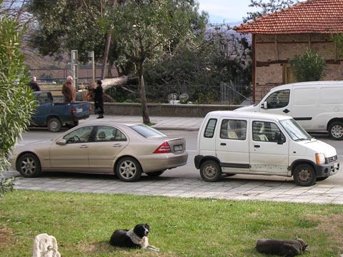 ΗΜΑΘΙΑ.....Ο  Δήμος Βέροιας μάζεψε τους επιθετικούς σκύλους από τους Αγ. Αναργύρους - Φωτογραφία 1