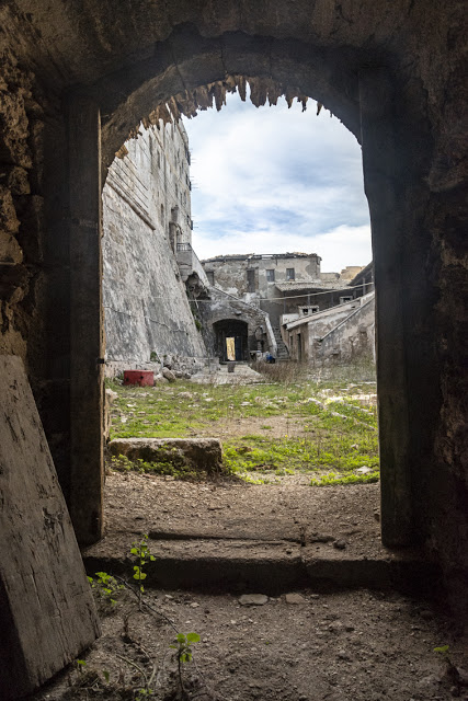Μουσείο Μπενάκη: Η έκθεση «Ο Τελευταίος Μοναχός των Στροφάδων» ξεκινά διαδικτυακά - Φωτογραφία 2