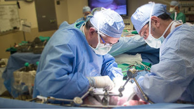Ακυρώνονται 28 εκατ. χειρουργεία λόγω κοροναϊού – 7.500 την εβδομάδα ακυρώνονταν στην Ελλάδα - Φωτογραφία 1