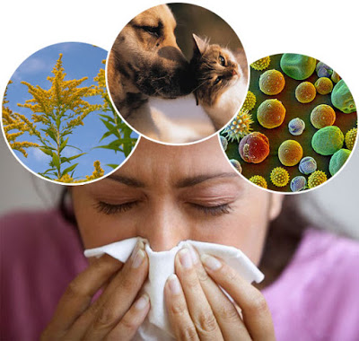 Αλλεργία. Τι είναι και πώς μπορεί να αντιμετωπιστούν οι αλλεργίες; Υπάρχει τρόπος πρόληψης; - Φωτογραφία 1