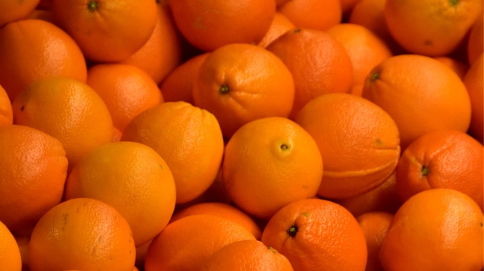 «Σήκωσαν» πάνω από δύο τόνους πορτοκάλια από αγρόκτημα! - Φωτογραφία 1