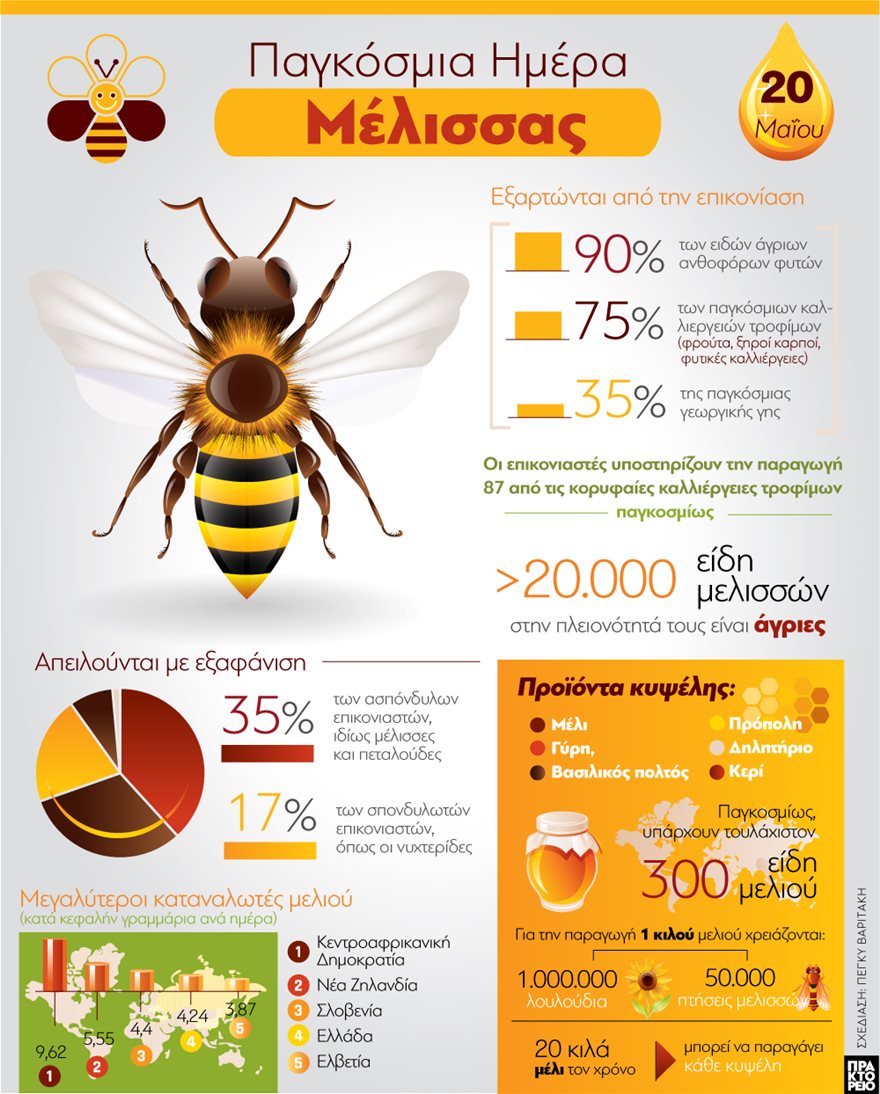 Παγκόσμια ημέρα μέλισσας: Γιατί εξαρτιόμαστε όλοι από αυτές - Φωτογραφία 2