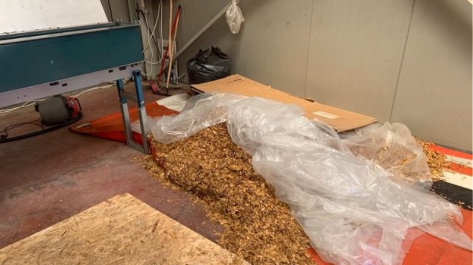 Λαύριο: Εντόπισαν παράνομο εργαστήριο καπνού - Κατασχέθηκαν 22 τόνοι -φωτος - Φωτογραφία 1