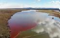 Αρκτική: Τεράστια οικολογική καταστροφή μετά τη διαρροή 20.000 τόνων πετρελαίου σε ποταμό