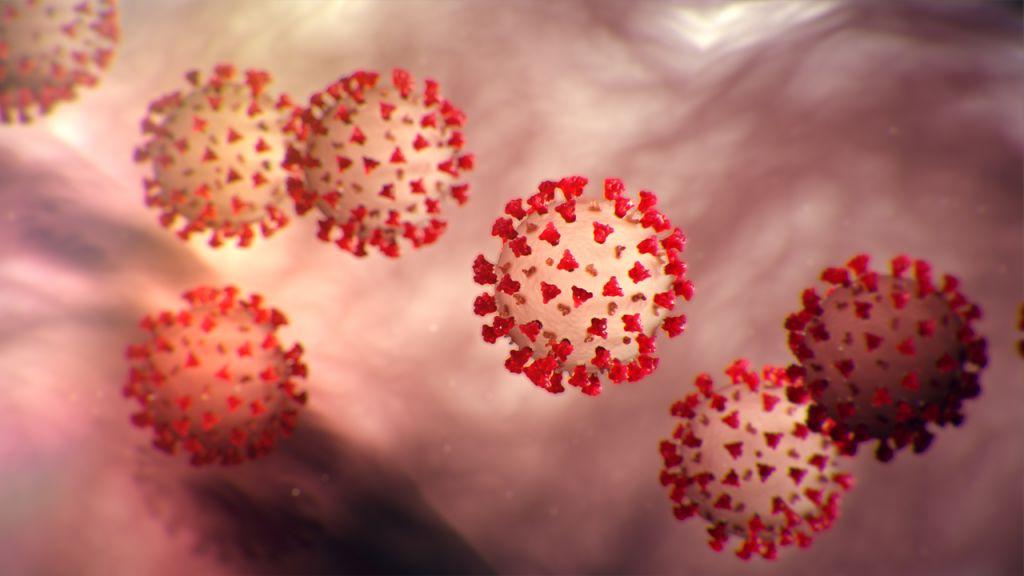 Κοροναϊός : Πώς θα είναι ένα ενδεχόμενο δεύτερο κύμα του ιού; - Φωτογραφία 1
