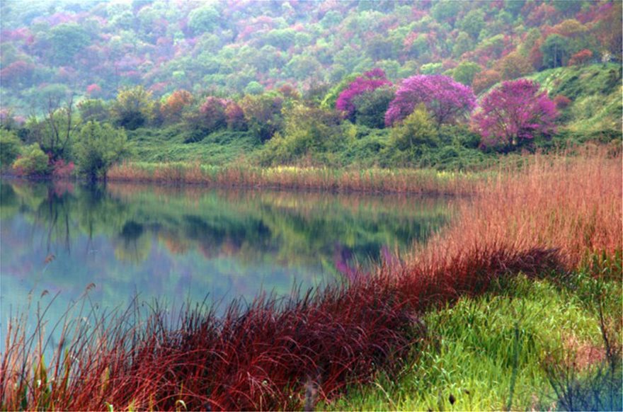 Ζαραβίνα: Η μαγευτική λίμνη των θρύλων στο Πωγώνι του νομού Ιωαννίνων - Φωτογραφία 6