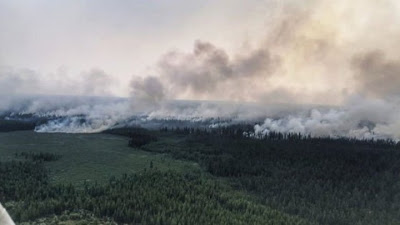 Η Κλιματική αλλαγή επηρεάζει την Σιβηρία με πυρκαγιές, βροχοπτώσεις και έντομα - Φωτογραφία 1