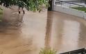 Πλημμύρισε ποτάμι στις Σέρρες, «άνοιξαν οι ουρανοί» στη Χαλκιδική