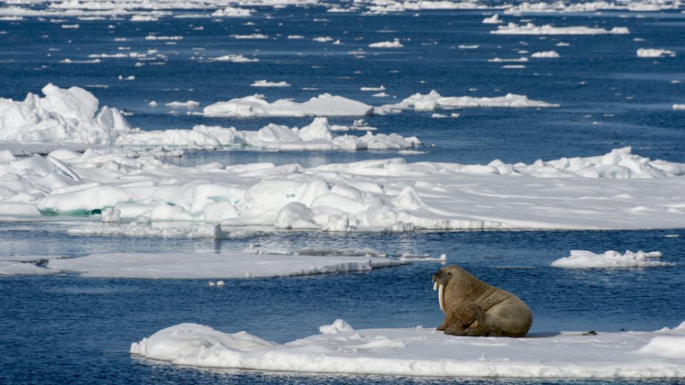 Θερμοκρασία-ρεκόρ στην Αρκτική: Στους 38 βαθμούς Κελσίου σε πόλη της Σιβηρίας - Φωτογραφία 1
