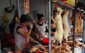 Κίνα: Ξεκίνησε το φεστιβάλ κατανάλωσης κρέατος σκύλου. -περισσότεροι από δέκα χιλίαδες σκύλοι και γάτες σκοτώνονται.