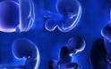 SOS για δεκάδες χιλιάδες κατεψυγμένα έμβρυα