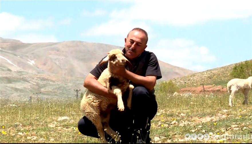 Τσαβούσογλου: Ο «λύκος» στην... Αλάνια φυλάει πρόβατα - Φωτογραφία 5
