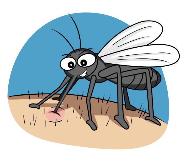Πώς να αποφύγετε τα τσιμπήματα από τα κουνούπια - Φωτογραφία 1