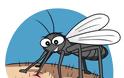 Πώς να αποφύγετε τα τσιμπήματα από τα κουνούπια