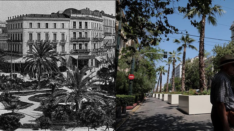 Μεγάλος Περίπατος: Οι φοίνικες στην Αθήνα τον 19ο αιώνα και η επιστροφή τους - Φωτογραφία 1
