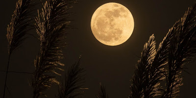 Πανσέληνος Ιουλίου, το «φεγγάρι του Κόκκινου Ελαφιού». Σήμερα - Φωτογραφία 1