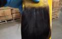 Κατάσχεσαν 13 τόνους περούκες από μαλλιά κρατουμένων στην Κίνα - Φωτογραφία 3