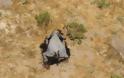 Εκατοντάδες ελέφαντες πεθαίνουν στην Μποτσουάνα από άγνωστη αιτία - Φωτογραφία 1
