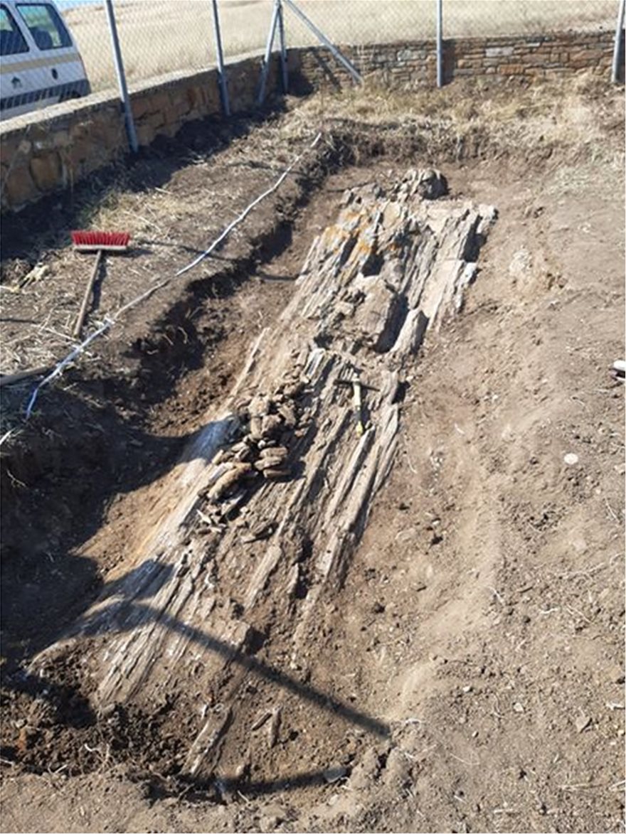 Βρέθηκε γιγαντιαίος κορμός απολιθωμένου δένδρου στη Λήμνο - Φωτογραφία 3