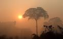 Περιβαντολογική καταστροφή ρεκόρ του τροπικού δάσους του Αμαζονίου