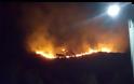 Περιορίζεται η πυρκαγιά στο Πέραμα: - Φωτογραφία 8