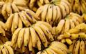 Η πανδημία της μπανάνας. Γιατί απειλούνται με εξαφάνιση;