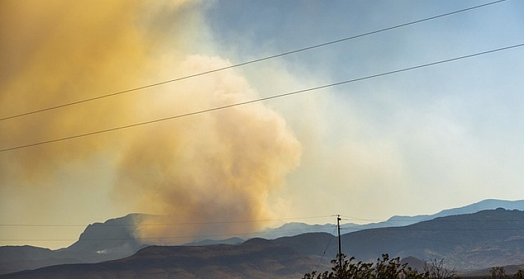 Πενήντα επτά δασικές πυρκαγιές σε 24 ώρες – Πάνω 740 πυροσβέστες στην μάχη με τις φλόγες - Φωτογραφία 1