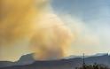 Πενήντα επτά δασικές πυρκαγιές σε 24 ώρες – Πάνω 740 πυροσβέστες στην μάχη με τις φλόγες