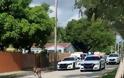 Φλόριντα: Πανικό σκόρπισε καγκουρό που σεργιάνιζε ελεύθερο - Φωτογραφία 2
