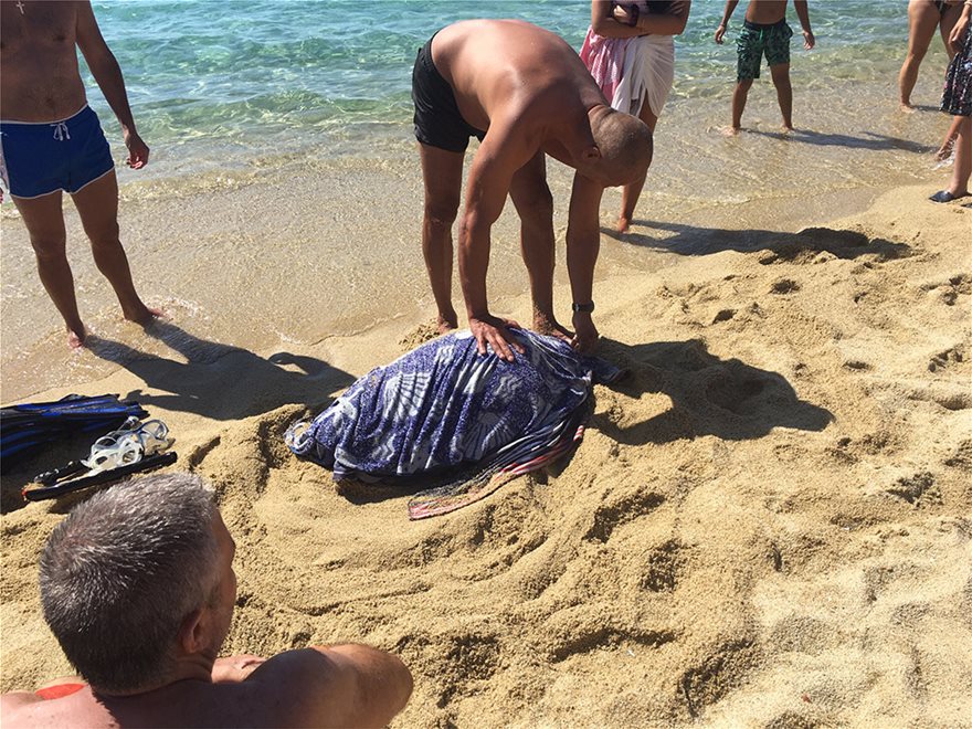 Καρέτα - καρέτα: Τραυματισμένη χελώνα στις ακτές της Νάξου - Λουόμενοι έσπευσαν για βοήθεια - Φωτογραφία 3