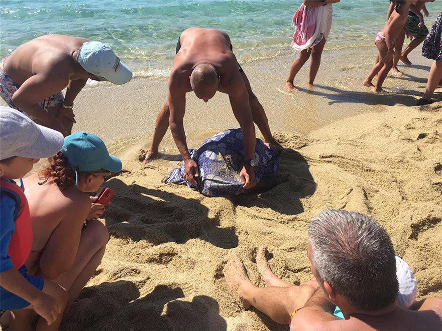 Καρέτα - καρέτα: Τραυματισμένη χελώνα στις ακτές της Νάξου - Λουόμενοι έσπευσαν για βοήθεια - Φωτογραφία 5