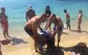 Καρέτα - καρέτα: Τραυματισμένη χελώνα στις ακτές της Νάξου - Λουόμενοι έσπευσαν για βοήθεια