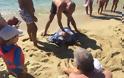 Καρέτα - καρέτα: Τραυματισμένη χελώνα στις ακτές της Νάξου - Λουόμενοι έσπευσαν για βοήθεια - Φωτογραφία 4