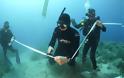 Αλόννησος: Εγκαινιάστηκε το πρώτο υποβρύχιο μουσείο της Ελλάδας - Ο «Παρθενώνας των ναυαγίων» - Φωτογραφία 1